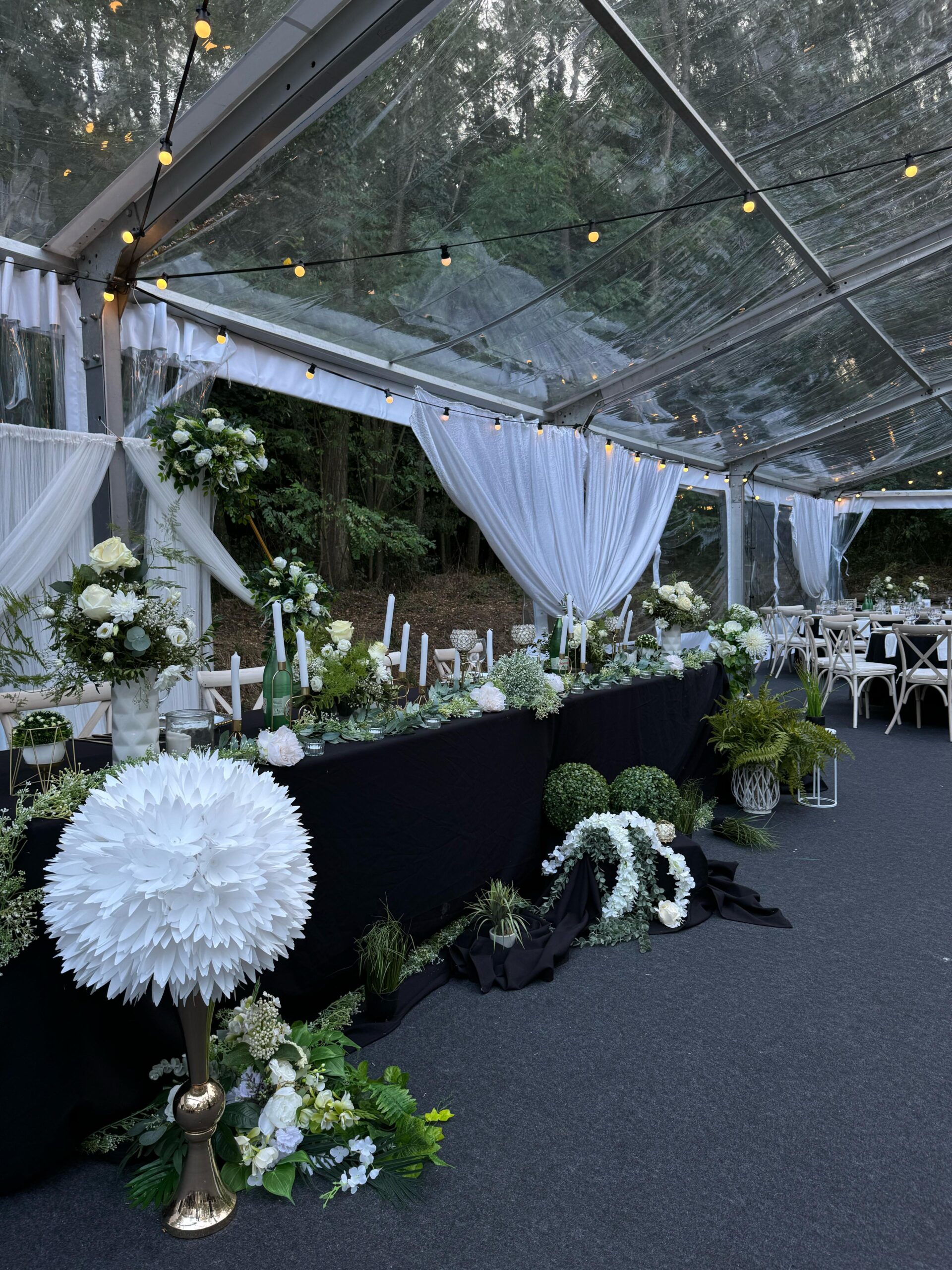 PHOTO-2025-01-20-10-54-25 (2)