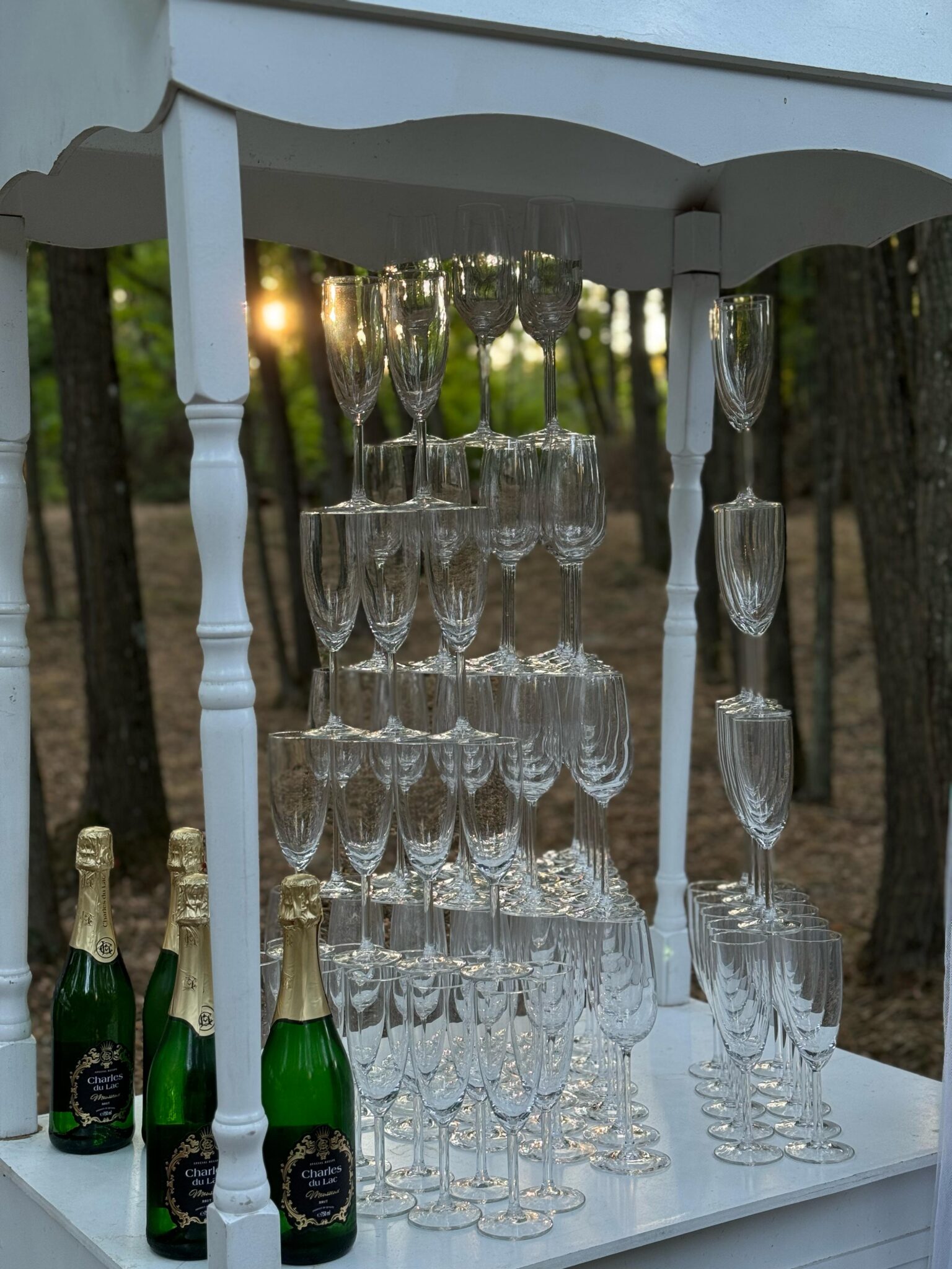 PHOTO-2025-01-20-10-54-25 (4)